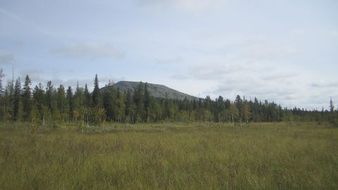 Хребет Ольховочный.